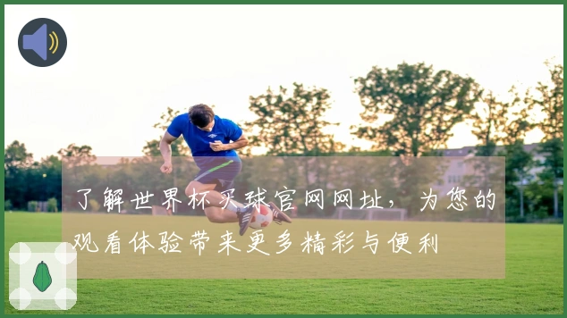 了解世界杯买球官网网址，为您的观看体验带来更多精彩与便利