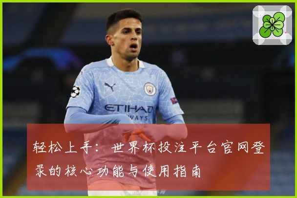 轻松上手：世界杯投注平台官网登录的核心功能与使用指南
