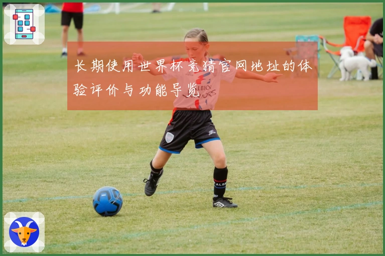 长期使用世界杯竞猜官网地址的体验评价与功能导览