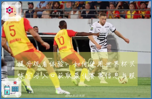 提升观看体验，如何使用世界杯买球官方入口获取最佳赛事信息与服务