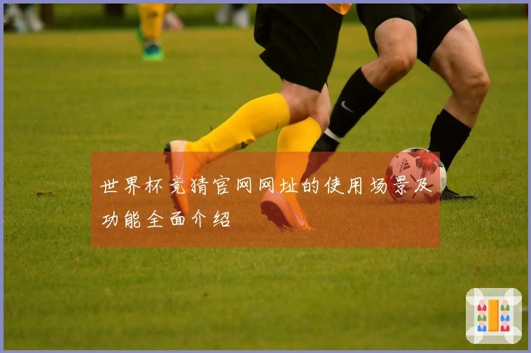 世界杯竞猜官网网址的使用场景及功能全面介绍