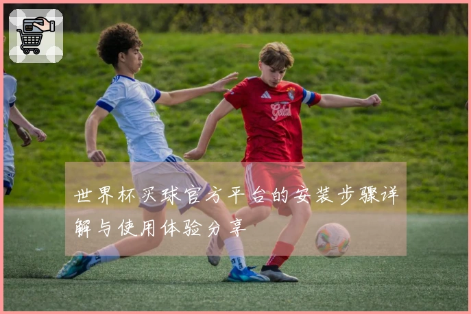 世界杯买球官方平台的安装步骤详解与使用体验分享