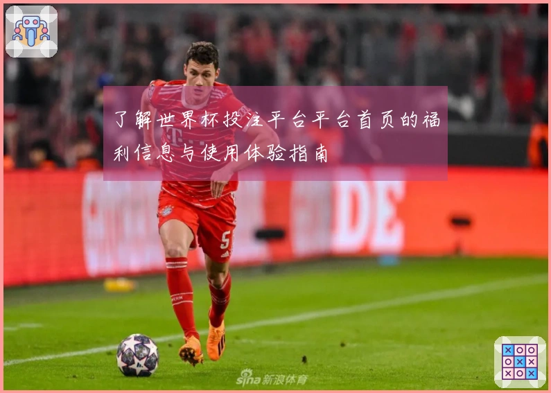 了解世界杯投注平台平台首页的福利信息与使用体验指南