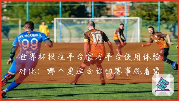 世界杯投注平台官方平台使用体验对比：哪个更适合你的赛事观看需求？