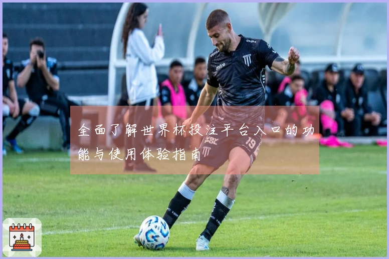 全面了解世界杯投注平台入口的功能与使用体验指南