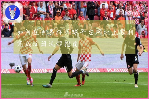 如何在世界杯买球平台网址上顺利完成注册流程指南