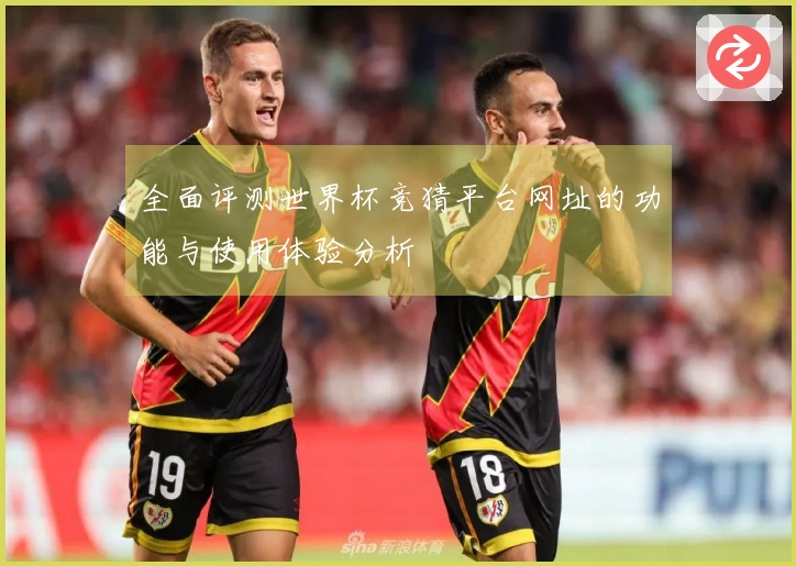 全面评测世界杯竞猜平台网址的功能与使用体验分析