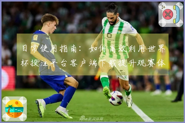 日常使用指南：如何高效利用世界杯投注平台客户端下载提升观赛体验