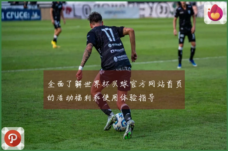 全面了解世界杯买球官方网站首页的活动福利和使用体验指导