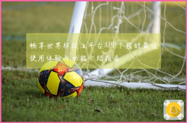畅享世界杯投注平台APP下载的最佳使用体验与功能介绍指南