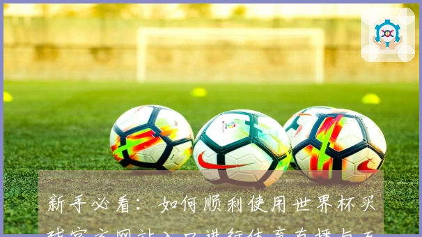 新手必看：如何顺利使用世界杯买球官方网站入口进行体育直播与互动体验