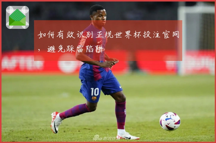 如何有效识别正规世界杯投注官网，避免踩雷陷阱