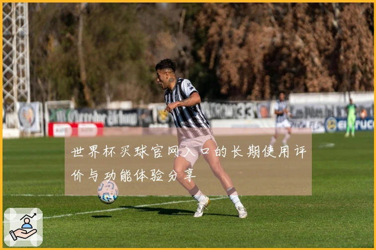 世界杯买球官网入口的长期使用评价与功能体验分享