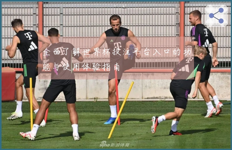 全面了解世界杯投注平台入口的功能与使用体验指南